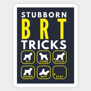 Stubborn BRT Tricks - Dog Training Magnet